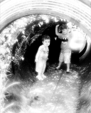 Tunnel at the Childrens Garden